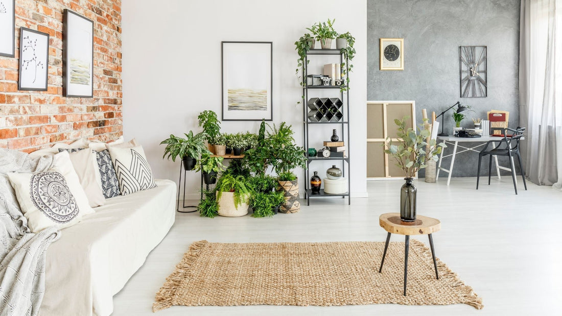 Waarom hebben mensen tapijten in hun woonkamer?