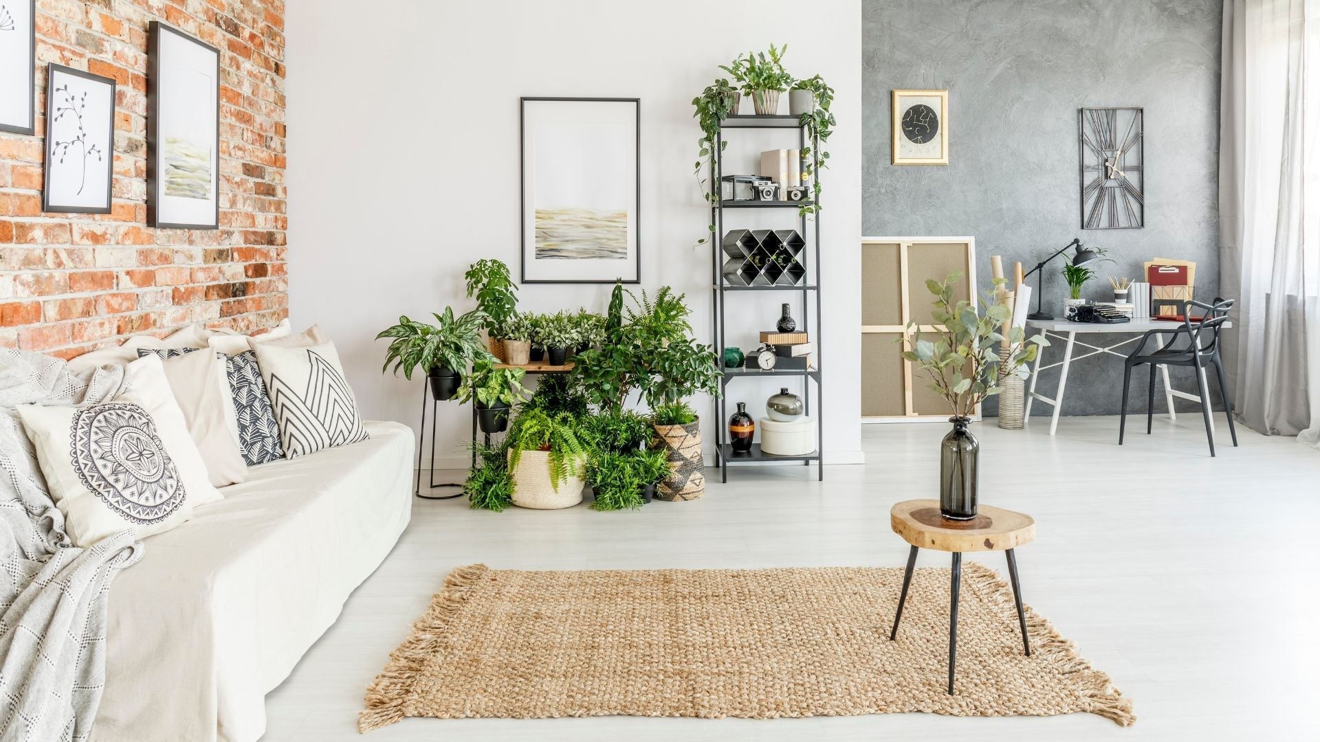 Waarom hebben mensen tapijten in hun woonkamer?