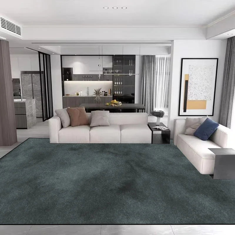 Light Luxury Minimalism Large Living Room Carpet Solid Color Home Decoration Bedroom Rug 200x300 Grey Soft Non-slip